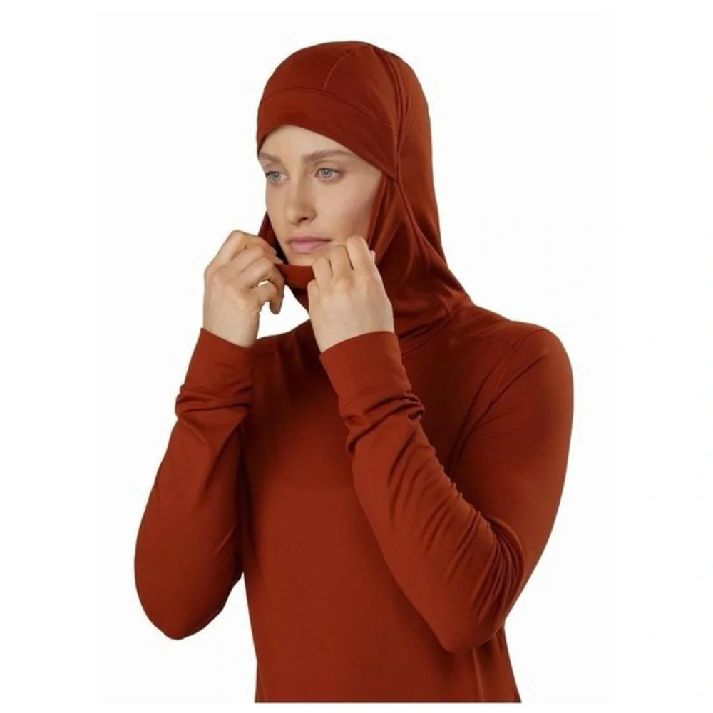 ARCTERYX Vertices Hoody - Picture 2 of 4